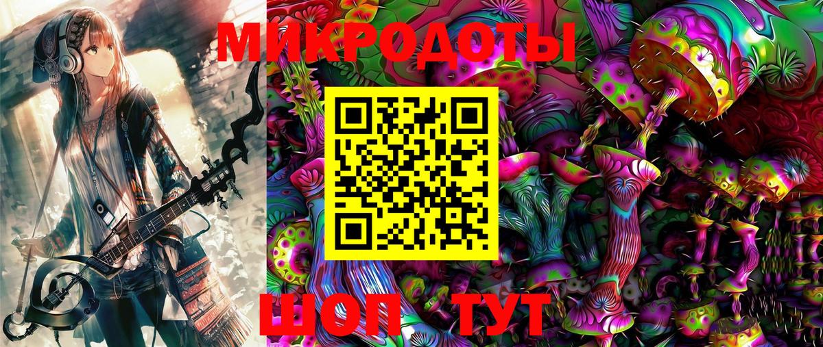 Галлюциногенные грибы Psilocybine cubensis Кировск